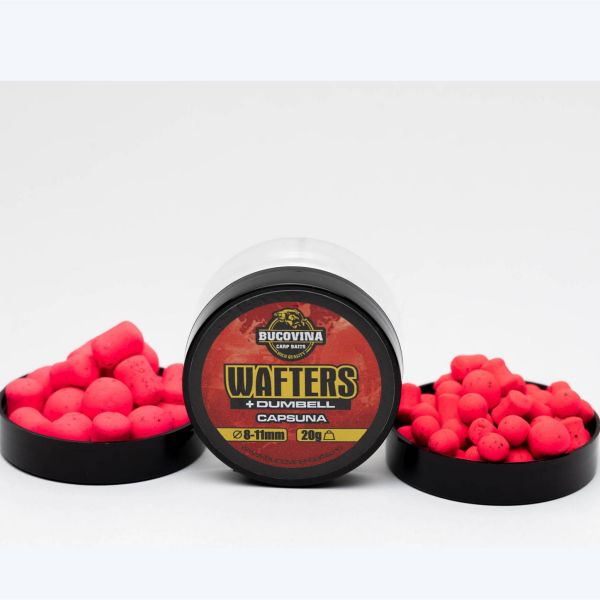 Wafters Erdbeere ~Bucovina baits~