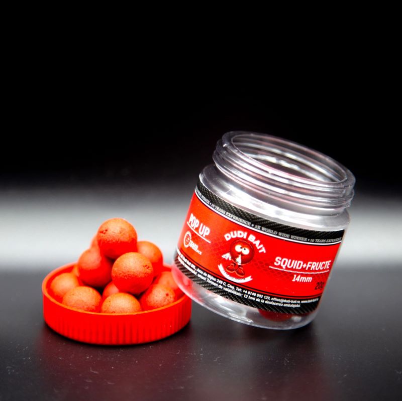 Pop-up Squid + Forest